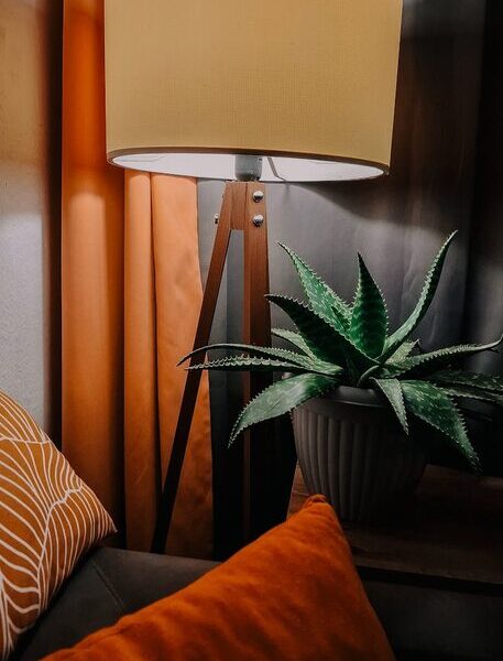 Tips for Creating a Cozy and Inviting Home Environment