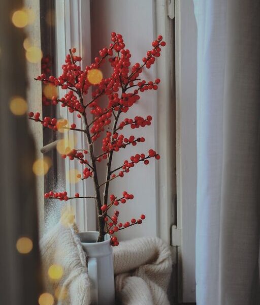 Easy Ways to Create a Cozy and Inviting Home Atmosphere Year-Round