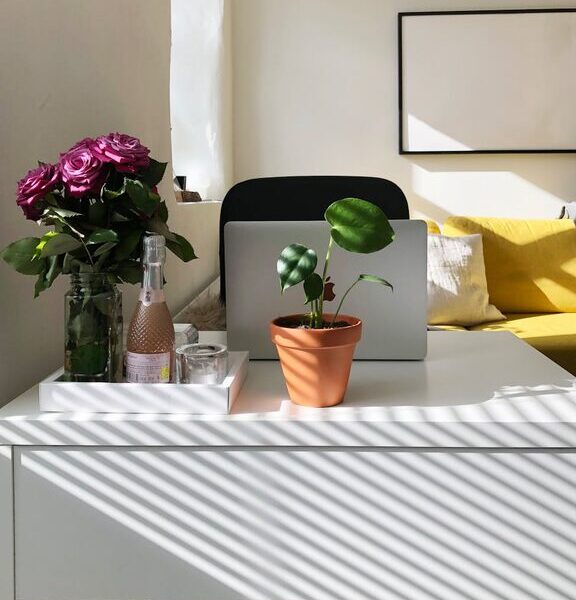 Tips for Creating a Cozy and Productive Home Office Space